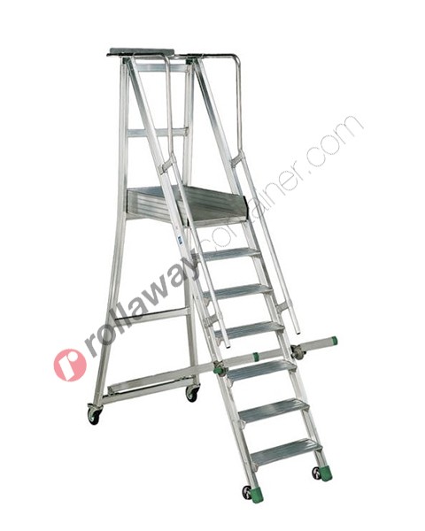 Warehouse ladder professional Castiglia