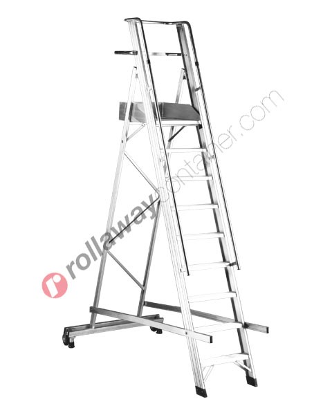 Warehouse ladder professional Castellana
