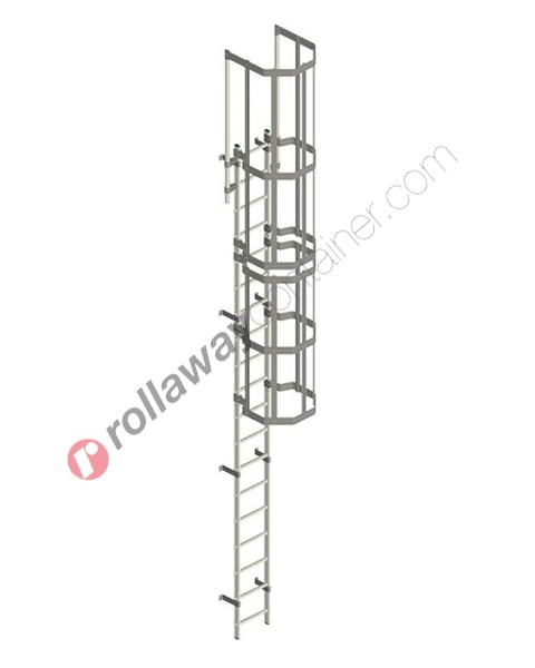 Vertical ladder with safety cage Security System