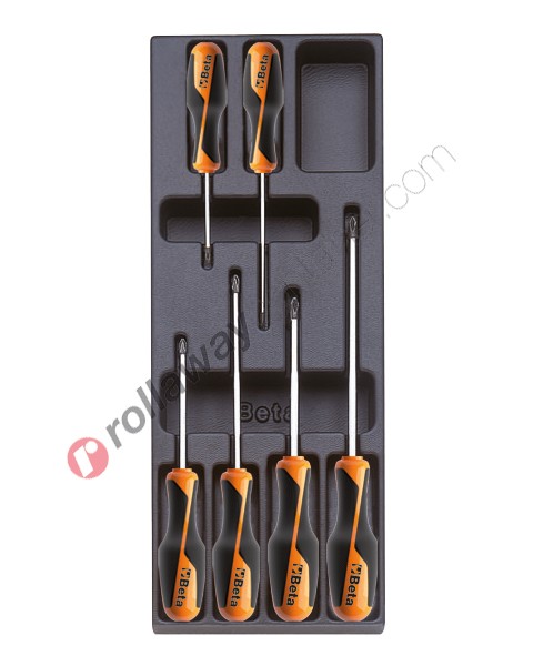Beta tools in hard thermoformed tray T202 with 6 tools