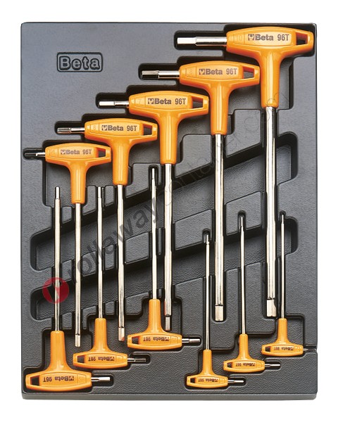 Beta tools in hard thermoformed tray T50 with 11 tools