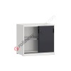 Workshop cabinet 1020x600 H 915 2 sliding doors
