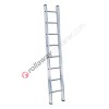 Single ladder professional Euro