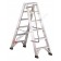 Platform ladder professional P1 handrail