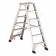 Platform ladder professional P1