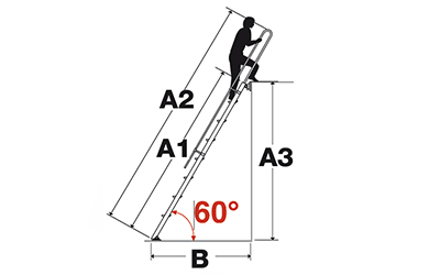 Single ladder professional Speciale S15/2 dimensions